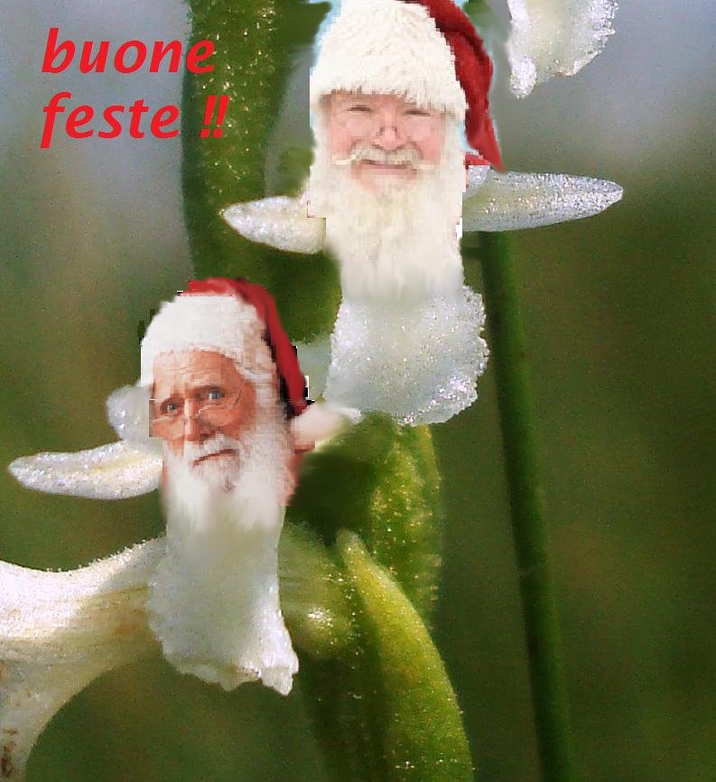 AUGURI DI BUONE FESTE A TUTTI!!!